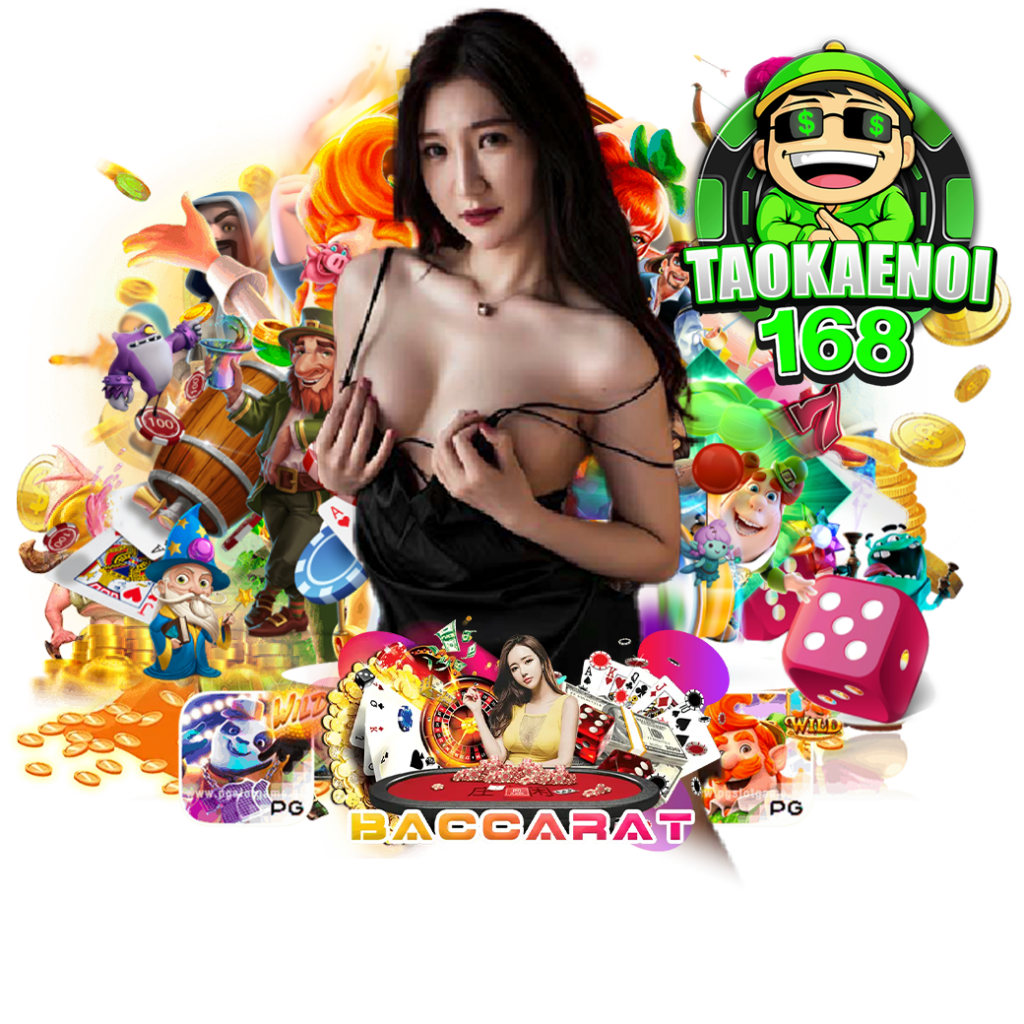 taokaenoi168 ทางเข้า